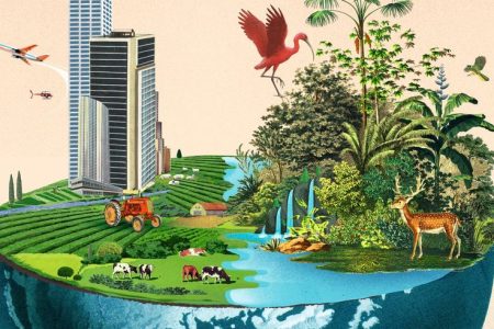 The biodiversity crisis in numbers - a visual guide